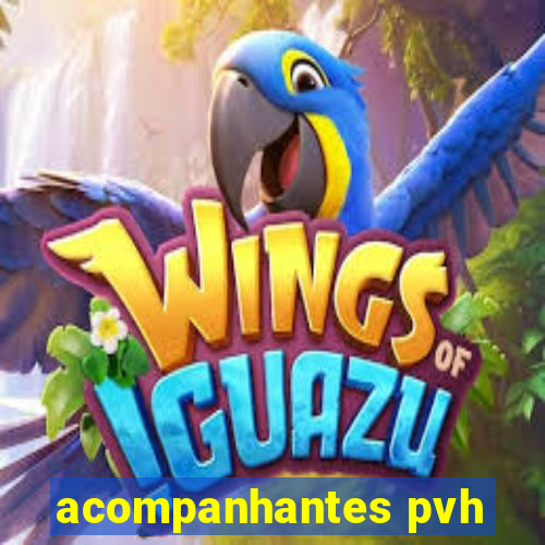 acompanhantes pvh