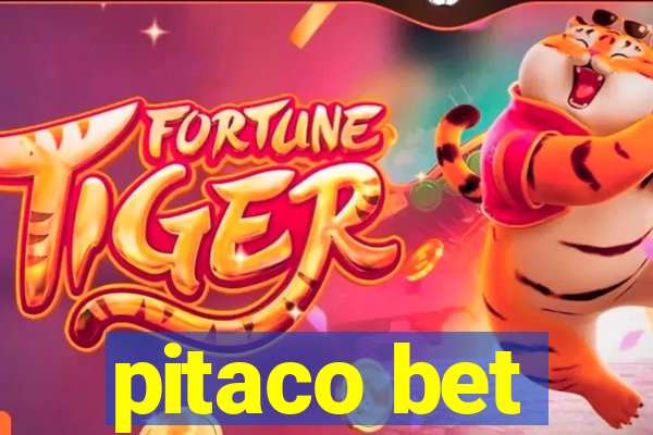 pitaco bet