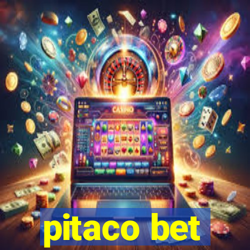 pitaco bet