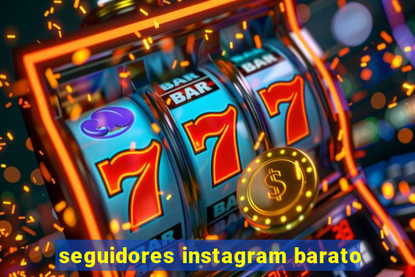 seguidores instagram barato