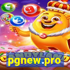 pgnew.pro