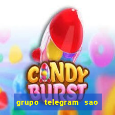 grupo telegram sao jose do rio preto