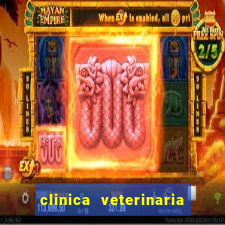 clinica veterinaria cuidar betim