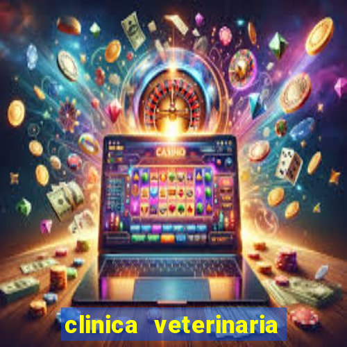 clinica veterinaria cuidar betim