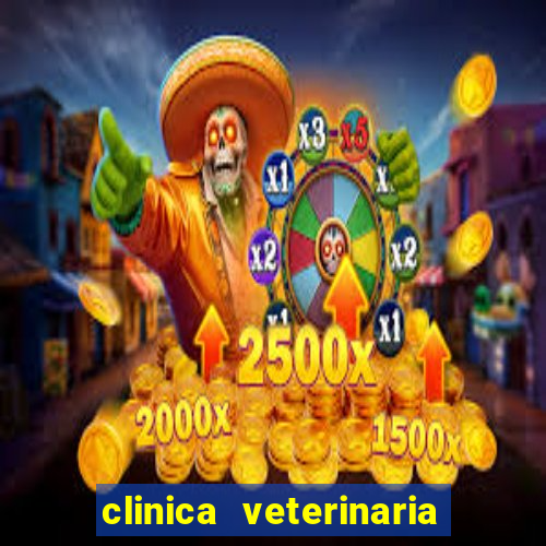 clinica veterinaria cuidar betim