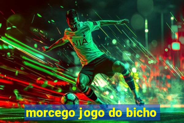 morcego jogo do bicho