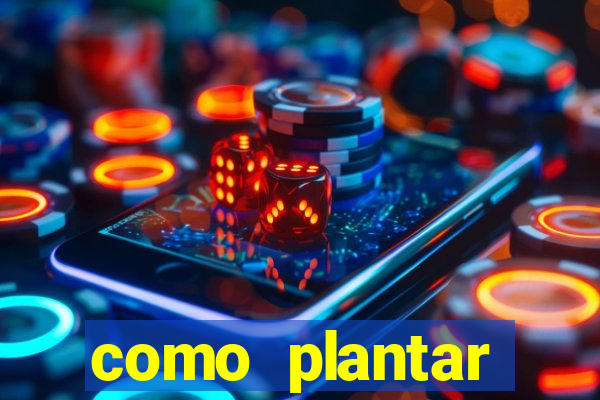 como plantar gergelim no vaso