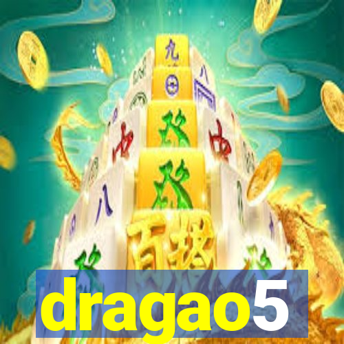 dragao5