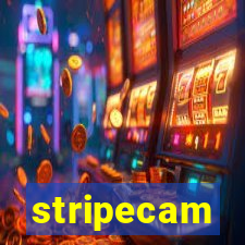 stripecam