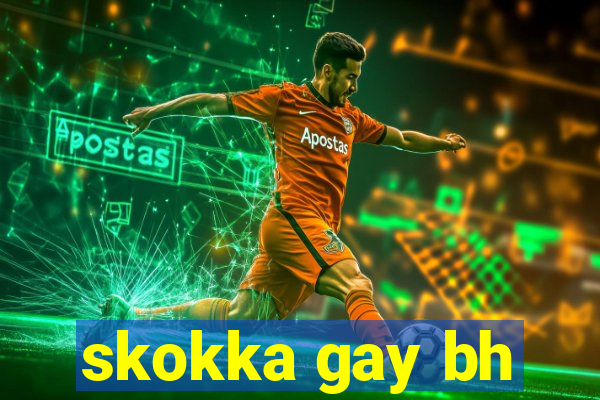 skokka gay bh