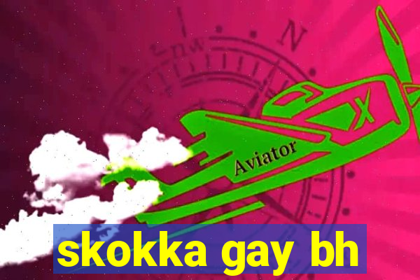 skokka gay bh