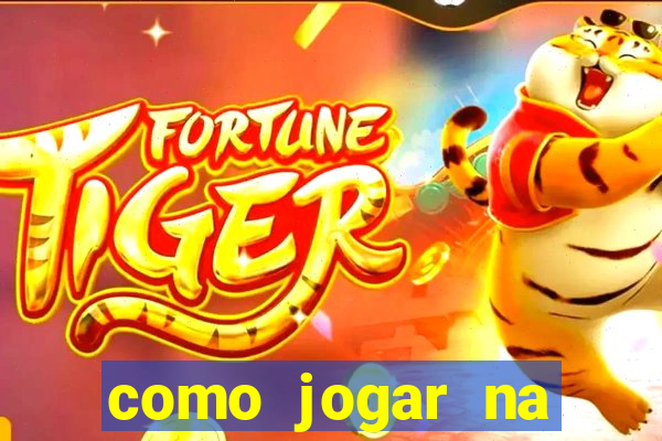 como jogar na lotinha do jogo do bicho