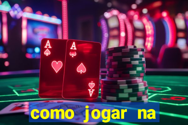 como jogar na lotinha do jogo do bicho