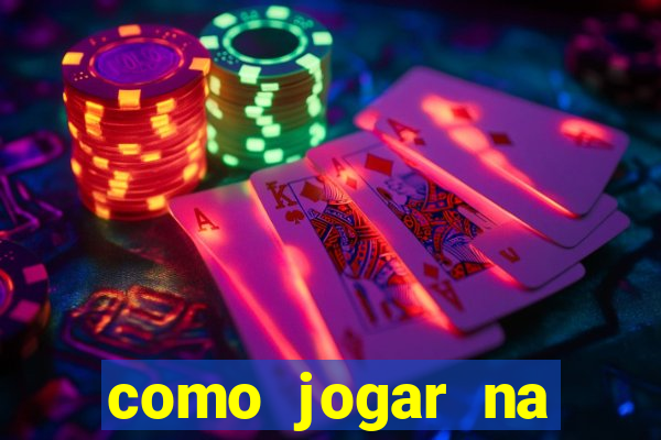 como jogar na lotinha do jogo do bicho