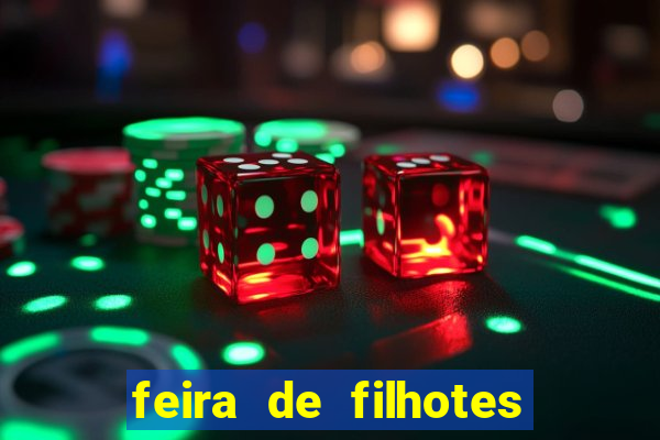 feira de filhotes porto alegre