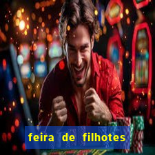 feira de filhotes porto alegre