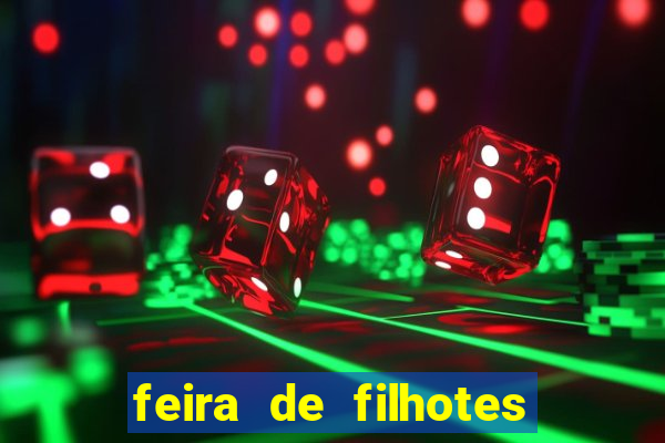 feira de filhotes porto alegre