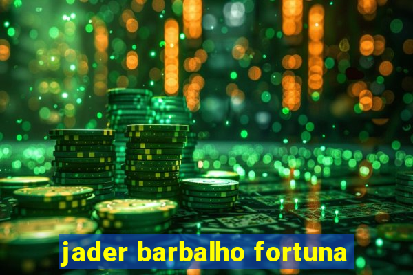 jader barbalho fortuna