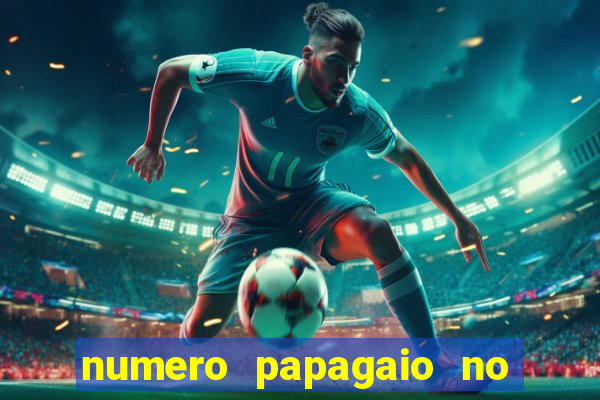 numero papagaio no jogo do bicho