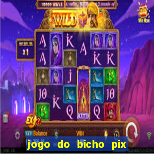 jogo do bicho pix da sorte