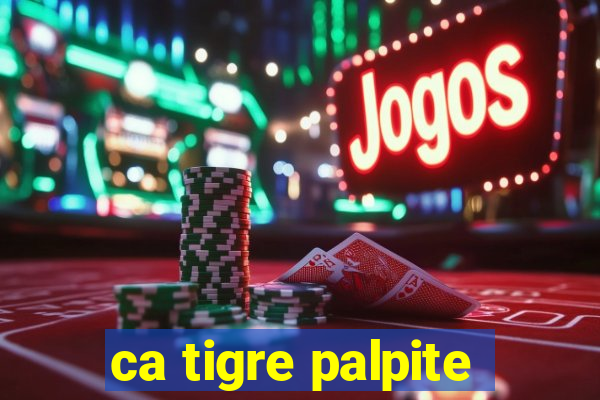 ca tigre palpite