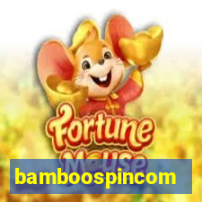 bamboospincom