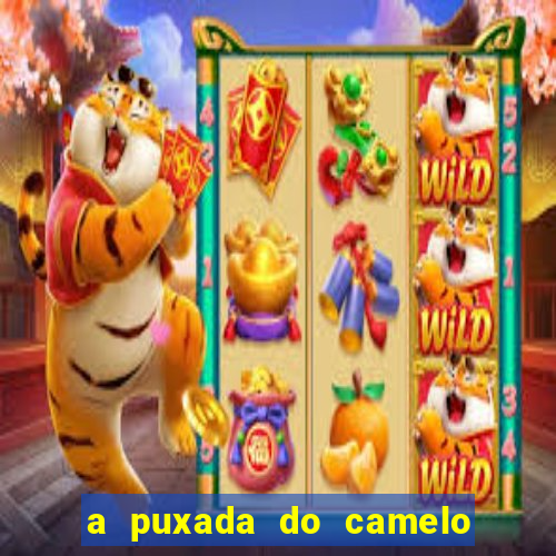 a puxada do camelo no jogo do bicho