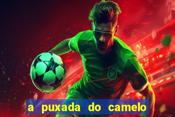 a puxada do camelo no jogo do bicho