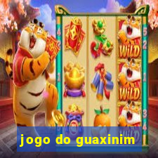 jogo do guaxinim