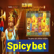 Spicybet