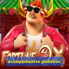 acompanhantes pinheiros