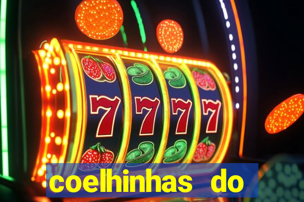 coelhinhas do brasil recife