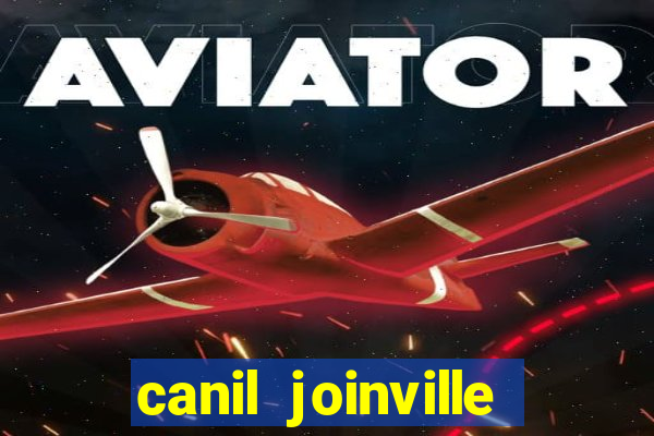 canil joinville vila nova