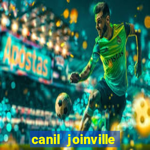 canil joinville vila nova