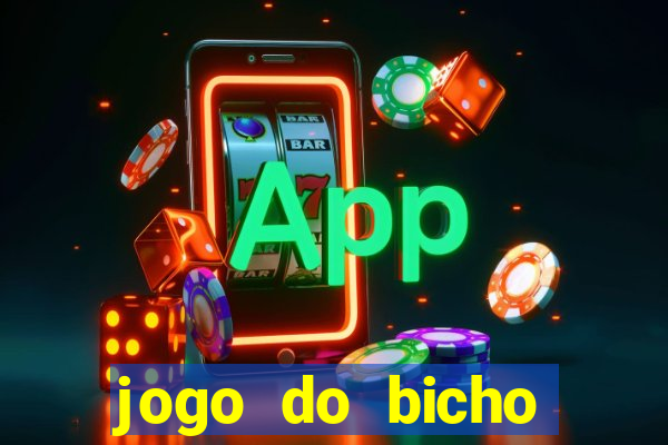 jogo do bicho crash bingo