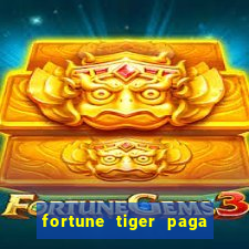 fortune tiger paga de madrugada