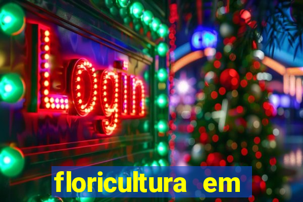 floricultura em lauro de freitas