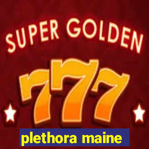 plethora maine