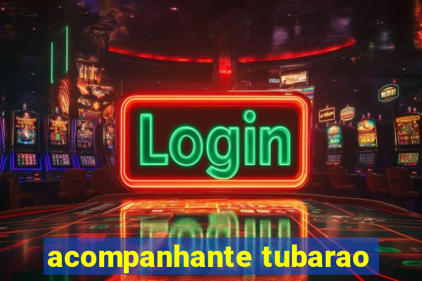 acompanhante tubarao