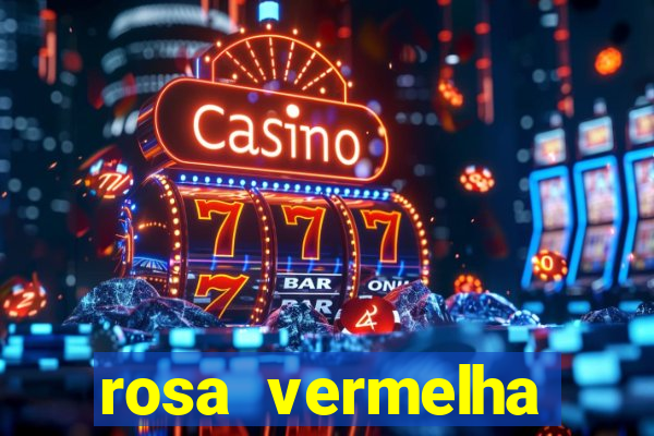 rosa vermelha (letra e cifra)