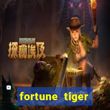 fortune tiger plataforma nova