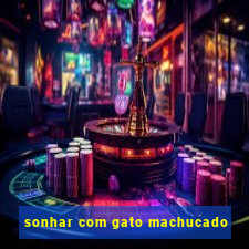 sonhar com gato machucado