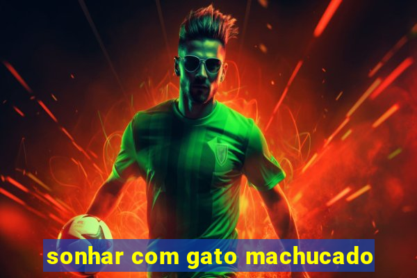 sonhar com gato machucado