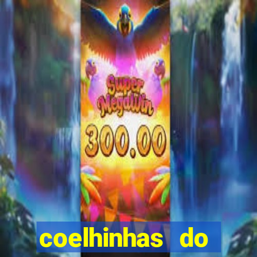 coelhinhas do brasil site