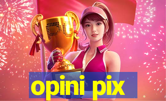 opini pix