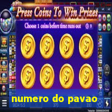 numero do pavao