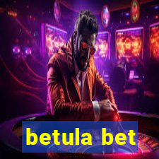 betula bet