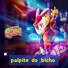 palpite do bicho deu no poste