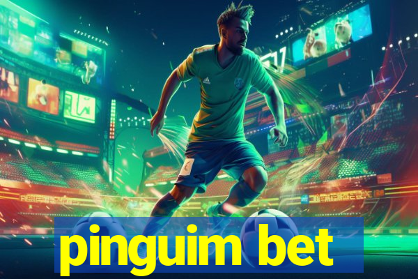 pinguim bet