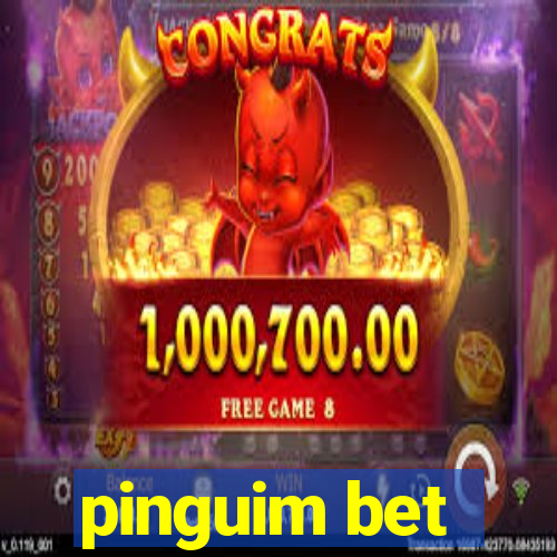 pinguim bet